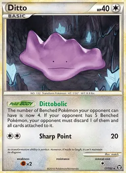 Ditto #17