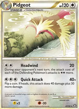 Pidgeot #29
