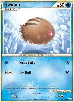 Swinub #79