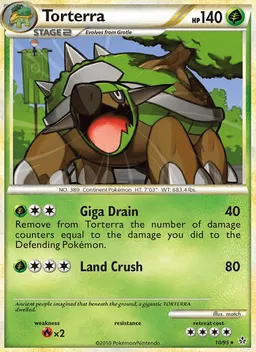 Torterra #10