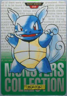 Wartortle #8