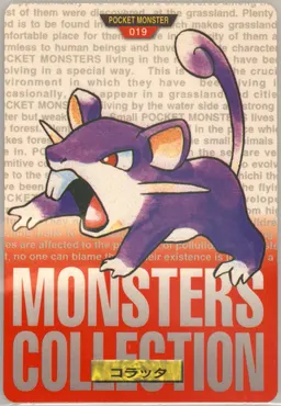 Rattata #19