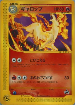 Rapidash #011/P