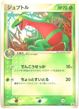 Grovyle #81