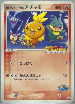 Pokepark's Torchic #47