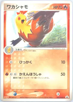 Combusken #65