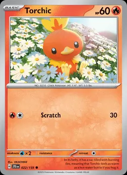 Torchic #22