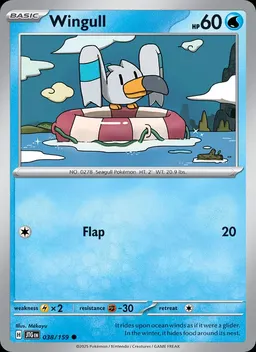 Wingull #38