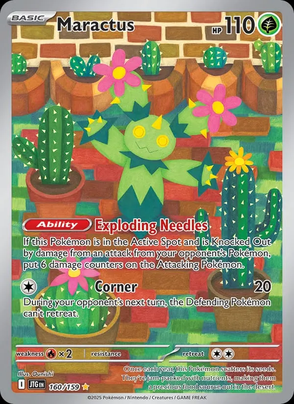 Maractus card photo