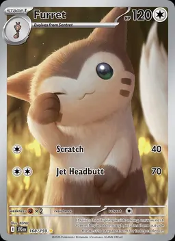 Furret card photo