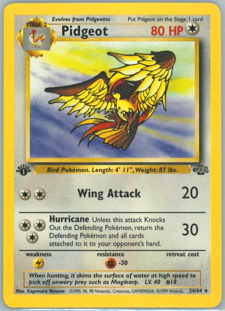 Pidgeot card photo