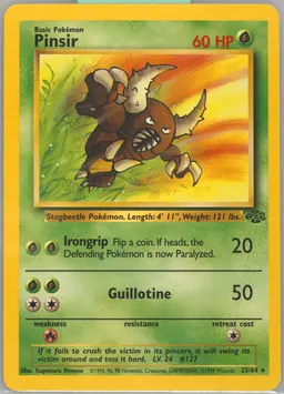Pinsir card photo