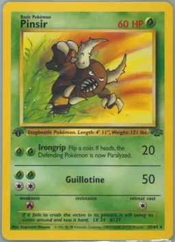 Pinsir card photo