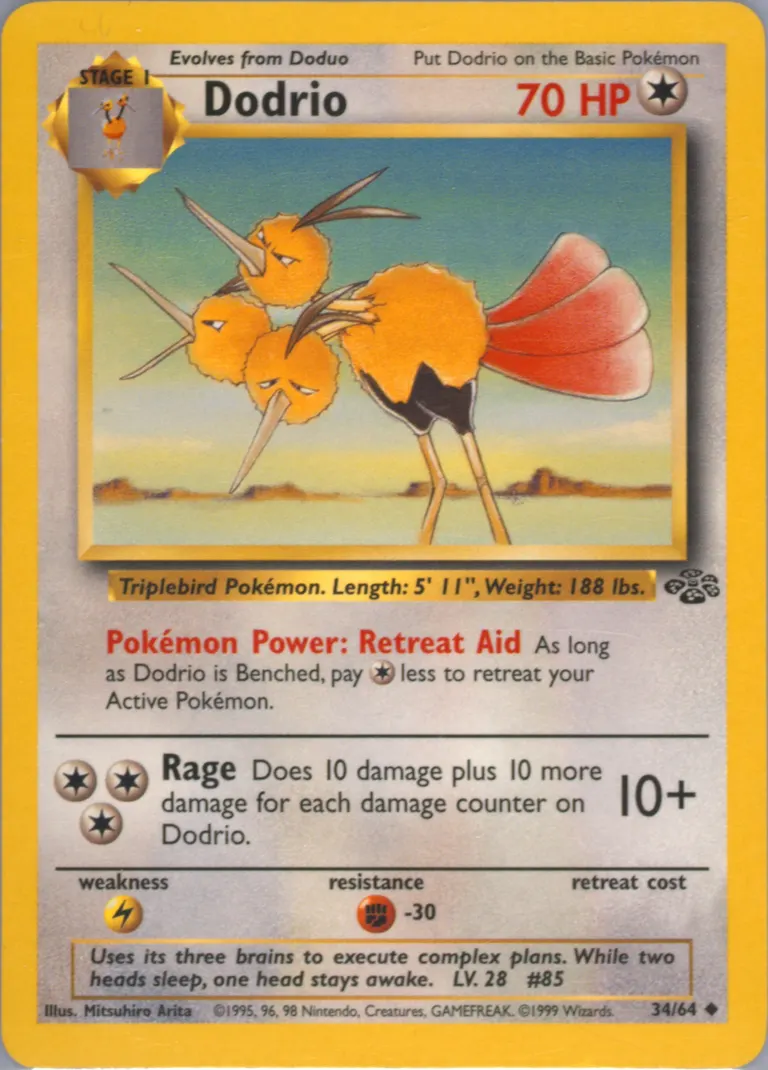 Dodrio card photo