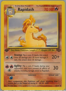 Rapidash card photo