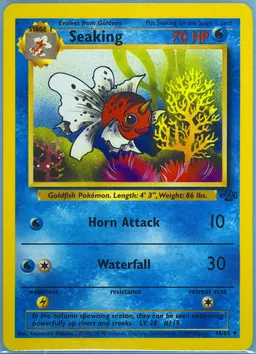 Seaking card photo