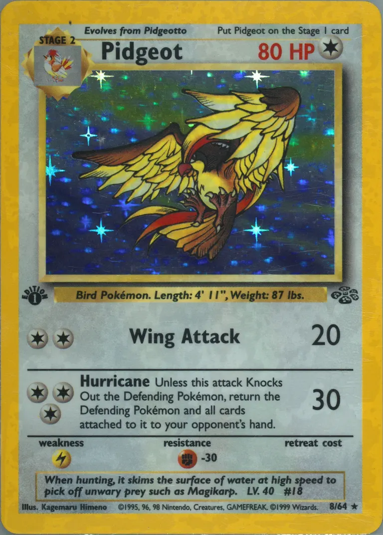 Pidgeot card photo