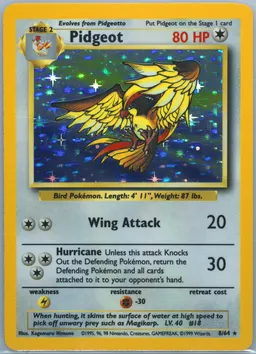 Pidgeot #8