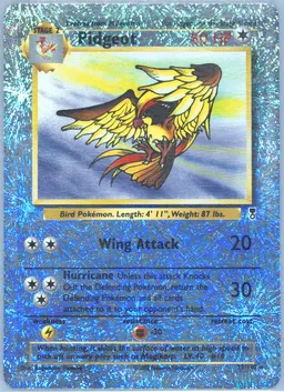 Pidgeot #33