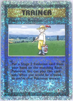 Pokémon Breeder #102