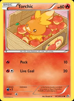 Torchic card photo