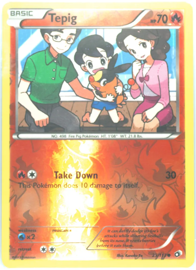 Tepig card photo