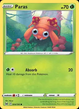 Paras #4
