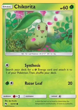 Chikorita #5