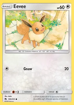 Eevee card photo