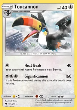 Toucannon #166