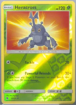 Heracross #18