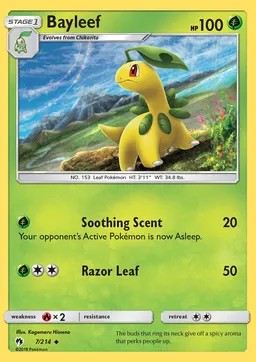 Bayleef #7