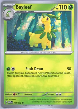 Bayleef #9