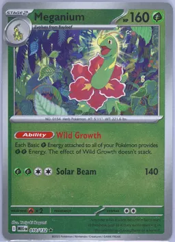 Meganium #10