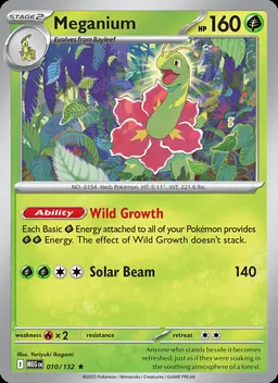 Meganium #10