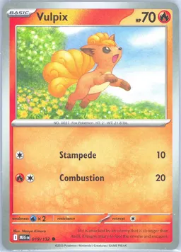 Vulpix #19