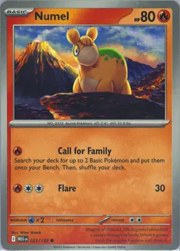 Numel #21