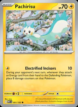 Pachirisu #51