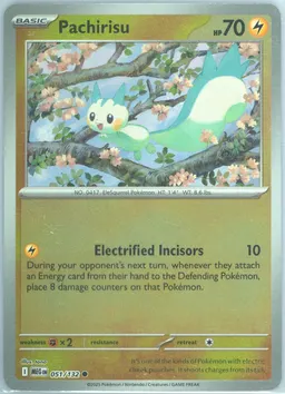 Pachirisu #51