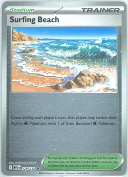 Surfing Beach #129
