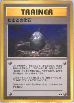 Fossil Egg #T55