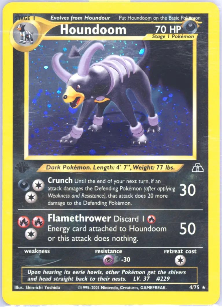 Houndoom card photo