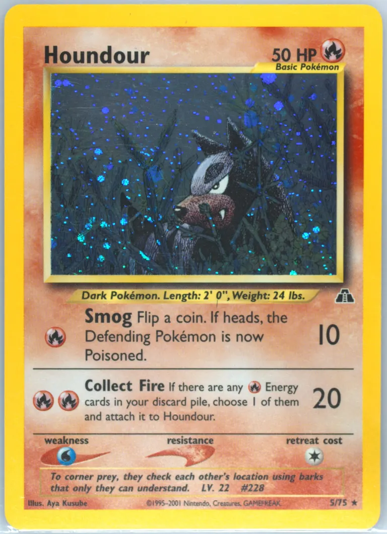 Houndour card photo