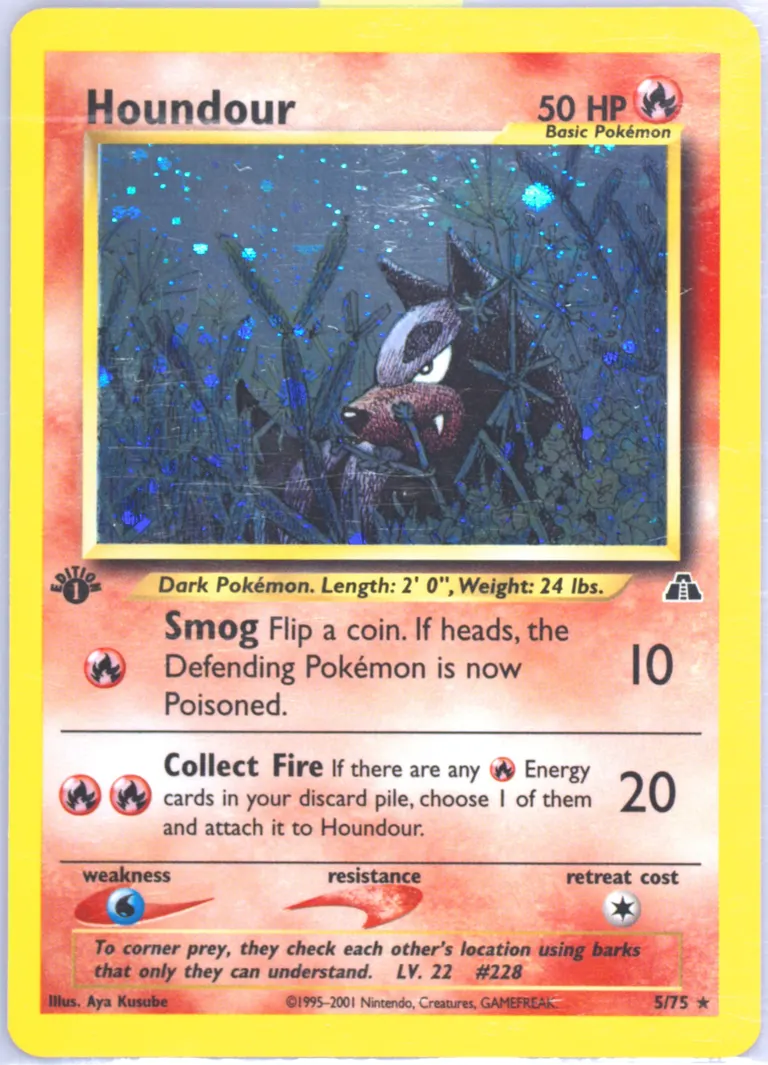 Houndour card photo