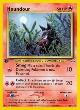 Houndour card photo