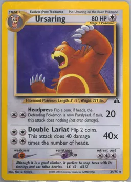 Ursaring card photo