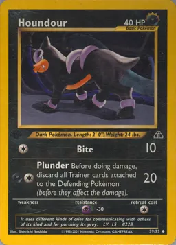 Houndour card photo