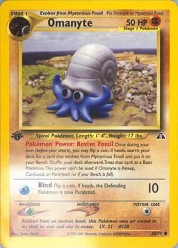 Omanyte #60