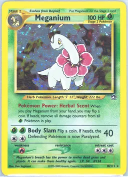 Meganium card photo