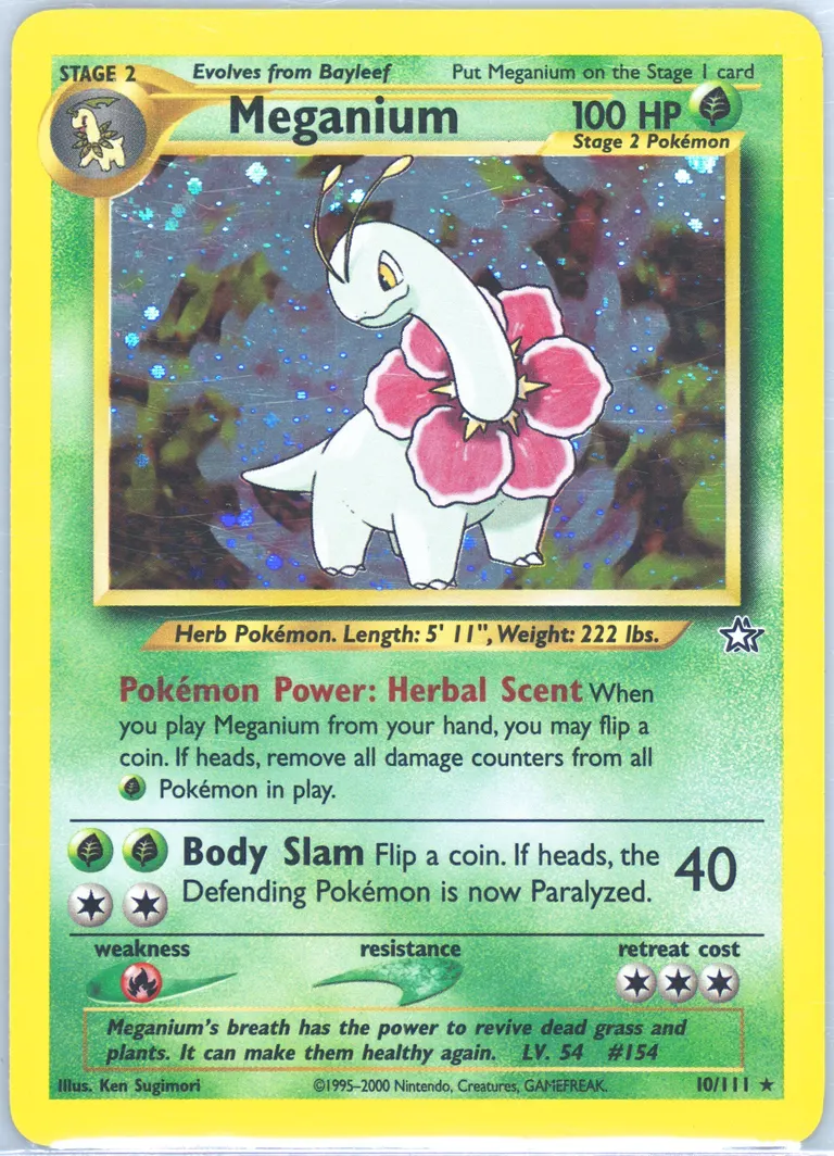 Meganium card photo